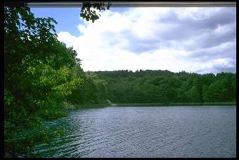Waldsee