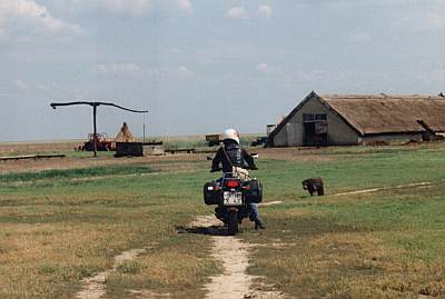 puszta