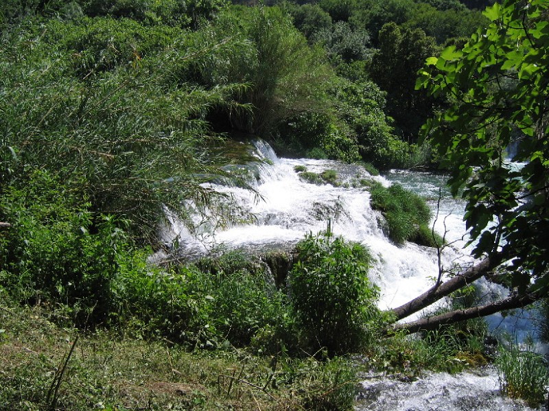 neuimg_1893.jpg - Nationalpalr Krka