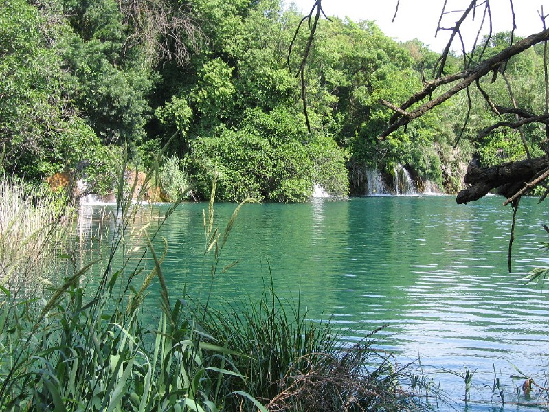 neuimg_1895.jpg - Nationalpalr Krka