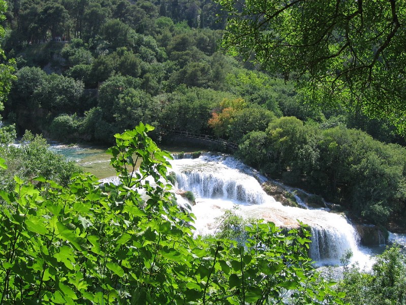 neuimg_1897.jpg - Nationalpalr Krka