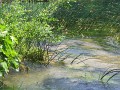 neuimg_1884