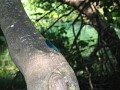 neuimg_1887
