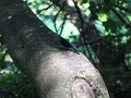 neuimg_1889