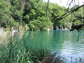 neuimg_1895
