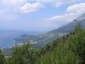 neuimg_1921
