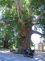 neuimg_1932