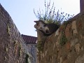 neuimg_1946