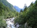 neuimg_2001
