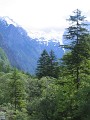 neuimg_2003