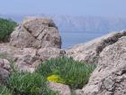 thumbs/neuimg_1873.jpg