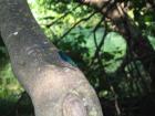 thumbs/neuimg_1887.jpg