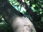 thumbs/neuimg_1889.jpg