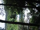 thumbs/neuimg_1894.jpg
