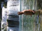 thumbs/neuimg_1900.jpg