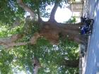 thumbs/neuimg_1932.jpg