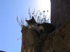thumbs/neuimg_1947.jpg