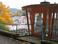 img_6529