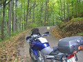 img_6538