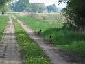 IMG_0276