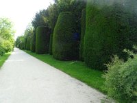 2021-06-02-16h30m35