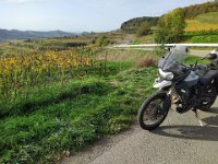 2022-10-28-10h31m04  auf der Rückfahrt in der Nähe des Kaiserstuhls