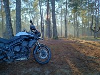 IMG 20250119 133523503 HDR