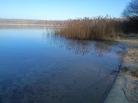 IMG 20250119 133615416