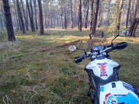 IMG 20250119 135514720  hatte eine Abkürzung im Wald genommen, da der Hauptweg völlig von LKWs oder Traktoren zerfahren war - mit bis zu 30 cm tiefen matschigen Spurrillen. Hier wurde es aber auch sehr herausfordernd.