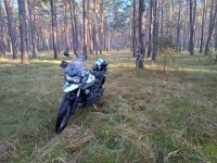 IMG 20250119 135524067 HDR  hatte eine Abkürzung im Wald genommen, da der Hauptweg völlig von LKWs oder Traktoren zerfahren war - mit bis zu 30 cm tiefen matschigen Spurrillen. Hier wurde es aber auch sehr herausfordernd