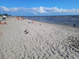 2025-08-02-16h26m18