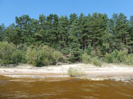 2025-08-04-13h38m22  am Peipussee