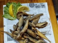 2026-05-18-19h44m28  Sofia - super Fischrestaurant in Seitenstraße unweit unseres Hotels