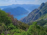 2026-05-25-16h44m27  Montenegro - Kotor